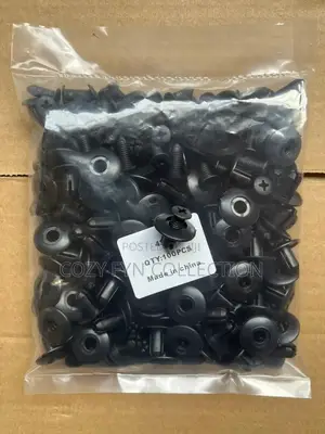 Car Clips(Universal Auto Trim Push Pin (100pcs)