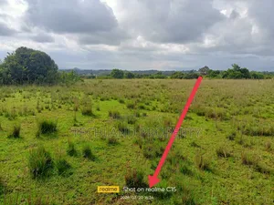 5acres Lusoi Kieni Nyeri.