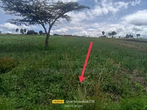 5acres Lusoi Kieni Nyeri.