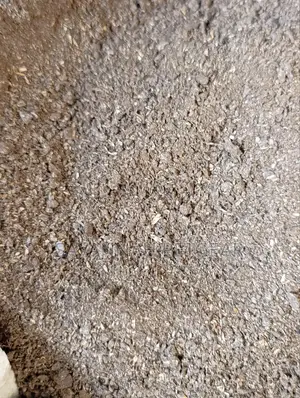 Cotton Seed Milled - 10kg