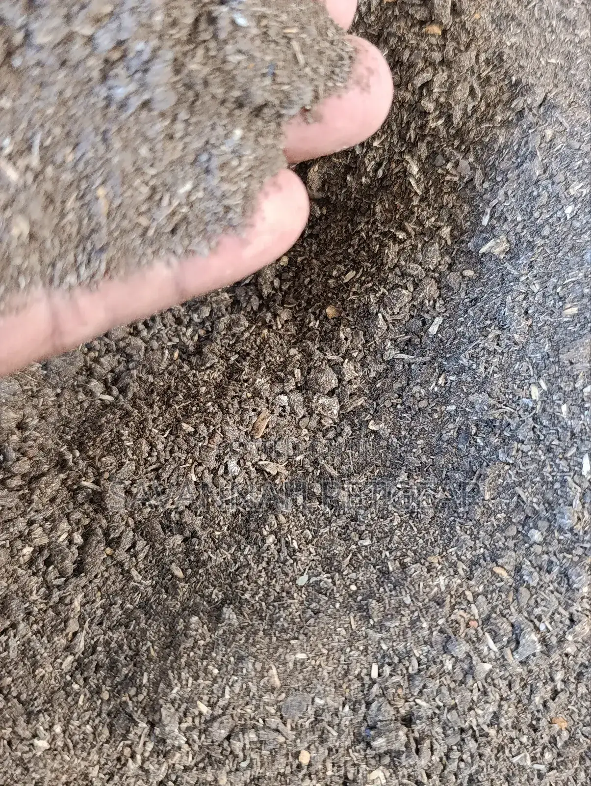 Cotton Seed Milled - 10kg