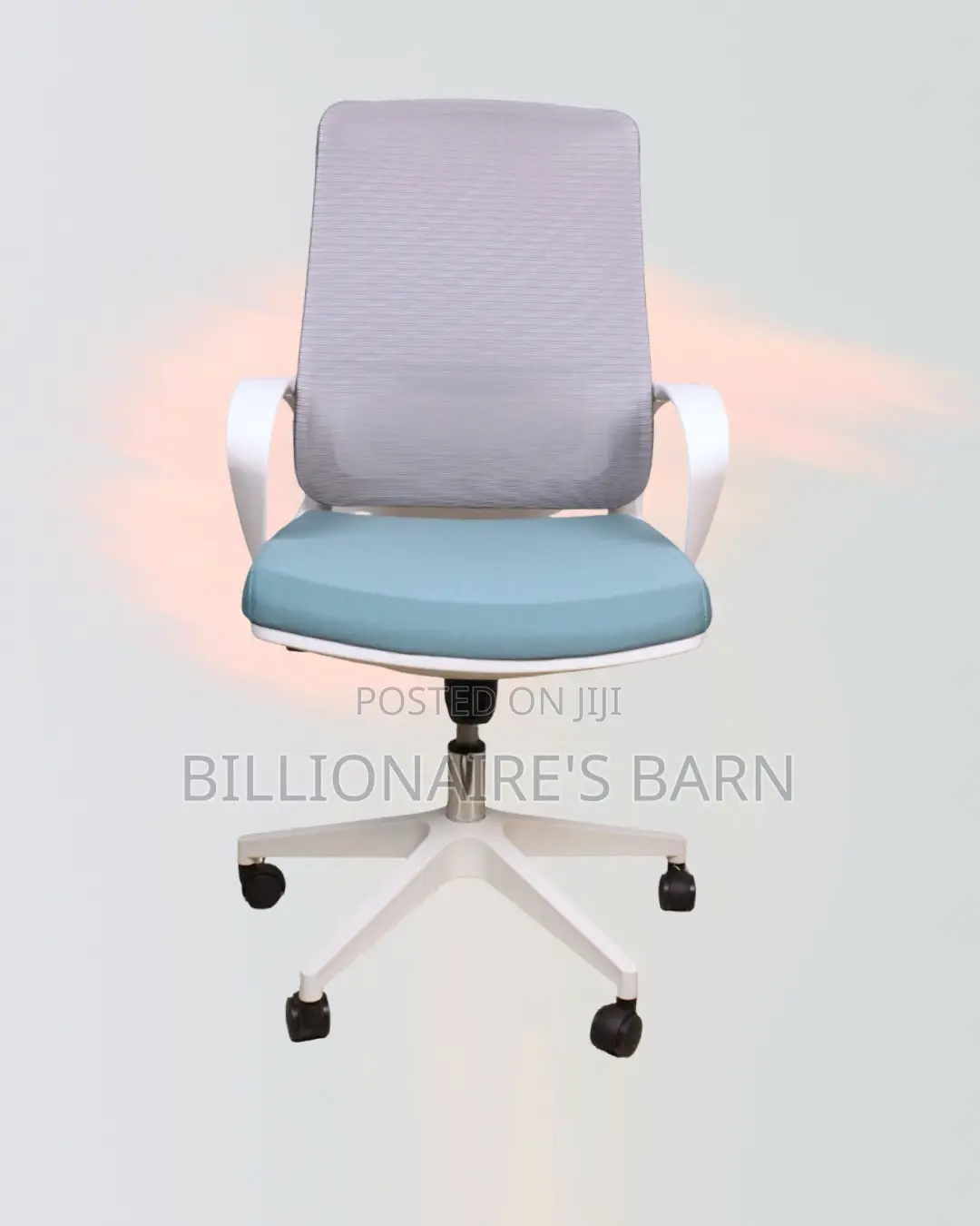 White Ergonomic Mesh Office Chair Mid Back Lumbar Support Solution