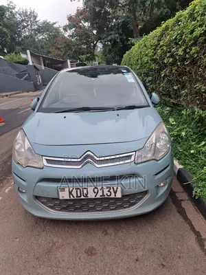 Citroen C3 2017 Blue
