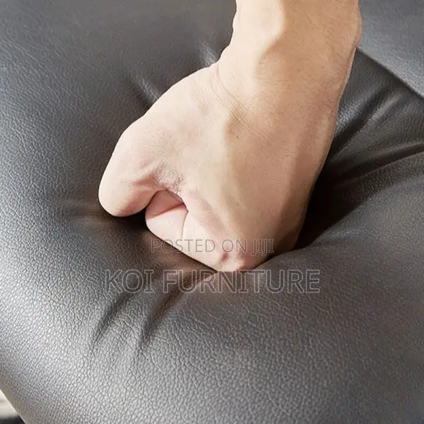 Office Chair : Leather Executive Cantilever Chair
