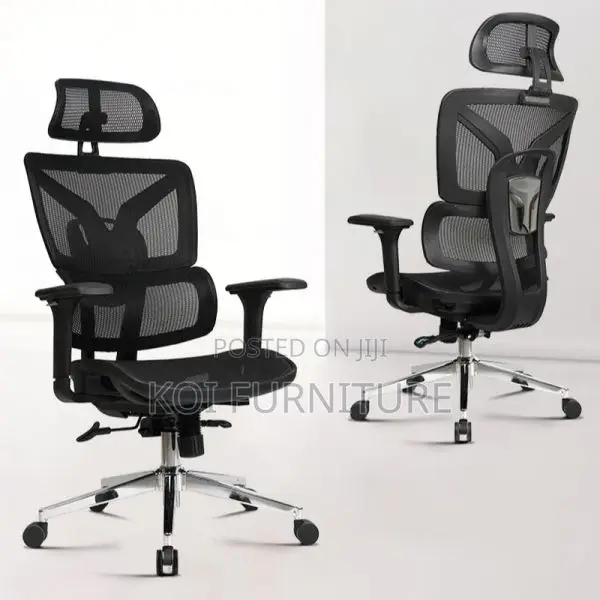 Office Chair : Ergonomic Office Chair