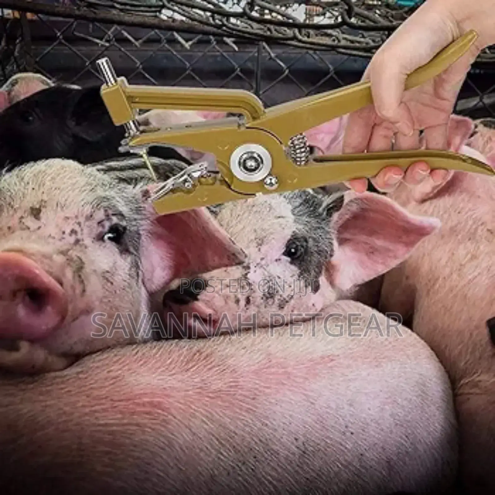 Hydraulic Universal Animal Ear Tag Applicator for Pigs, Cows, Goats