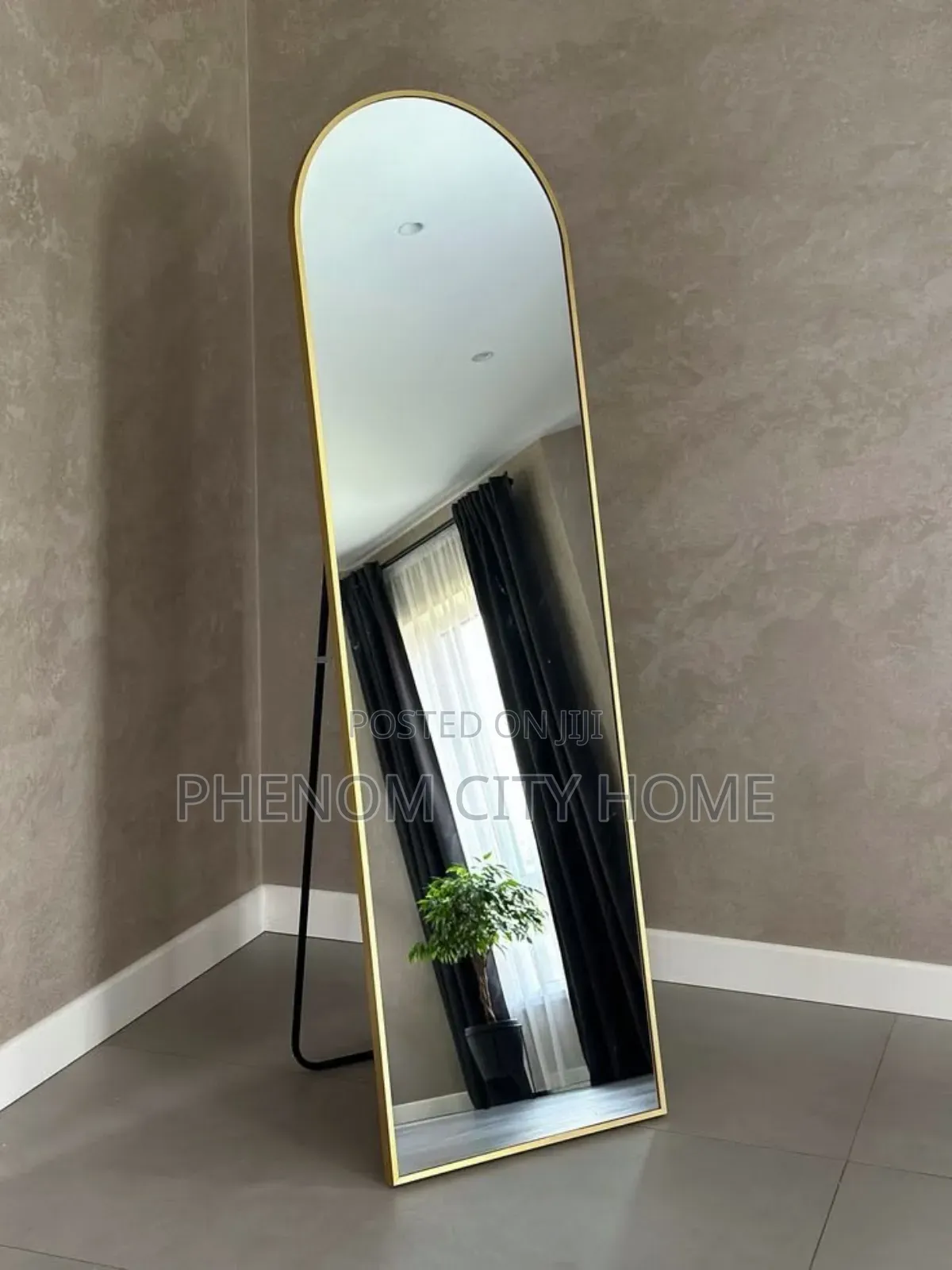 Full Length Dressing/Decor Mirror