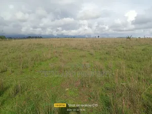 15acres Lusoi Kieni East Nyeri