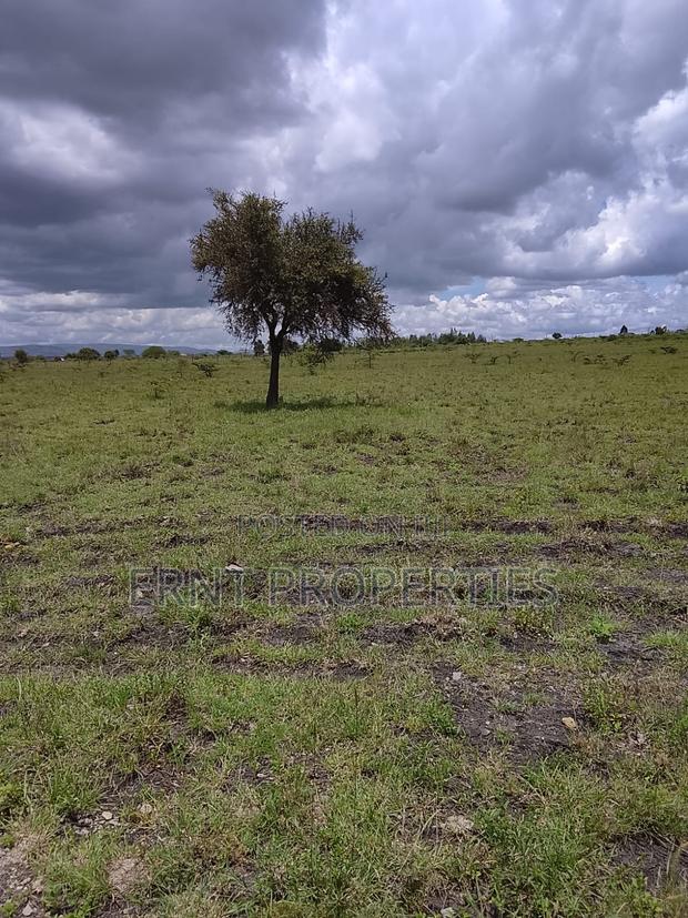 5 Acres Prime Land for Sale in Acacia Oloika, Kitengela