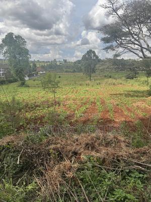 Eighth Acre Kerarapon - thumbnail 2