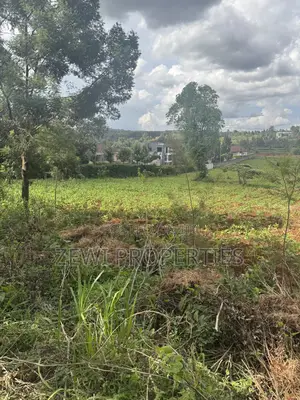 Eighth Acre Kerarapon