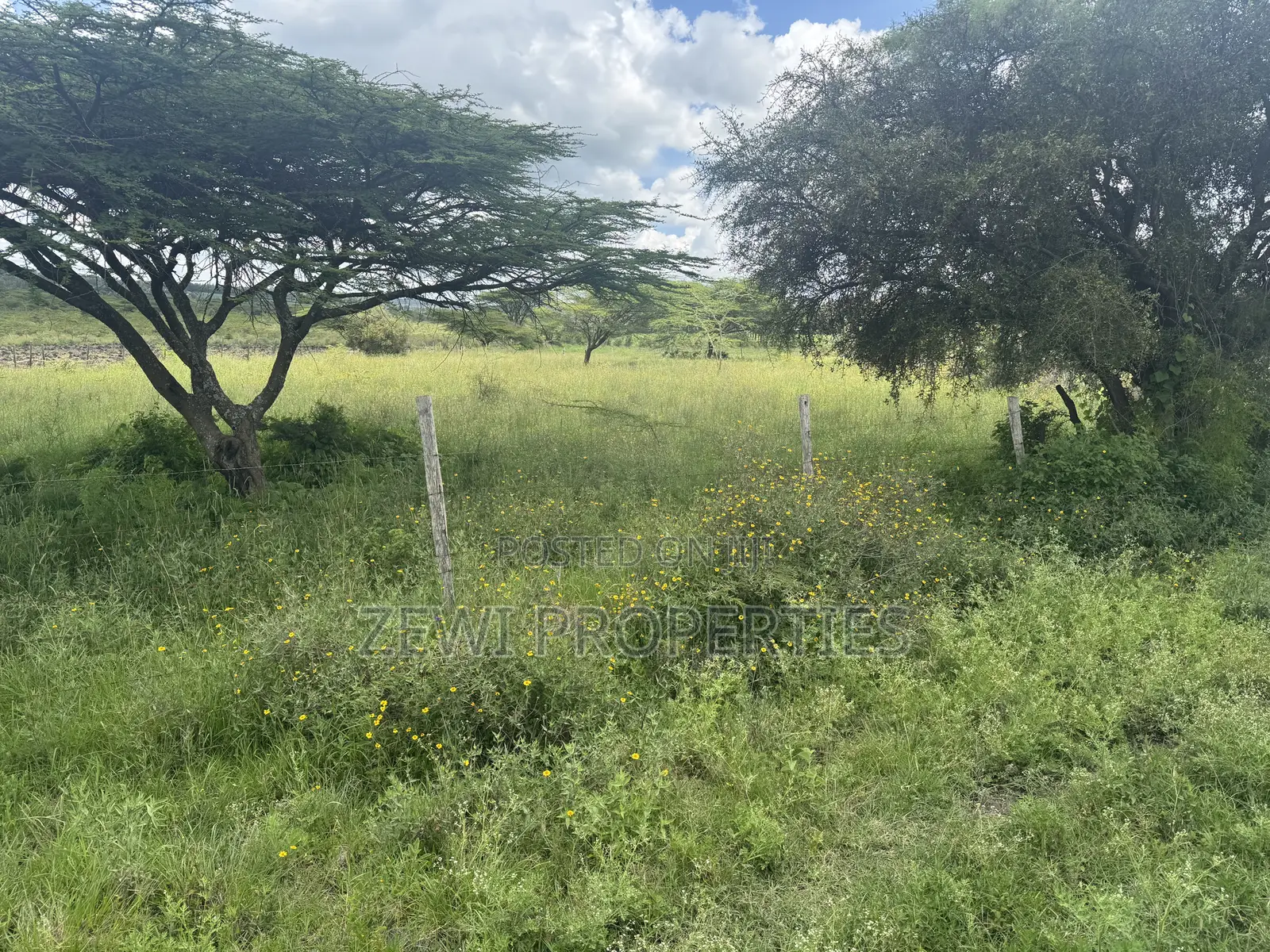 One Acre Dawamu School