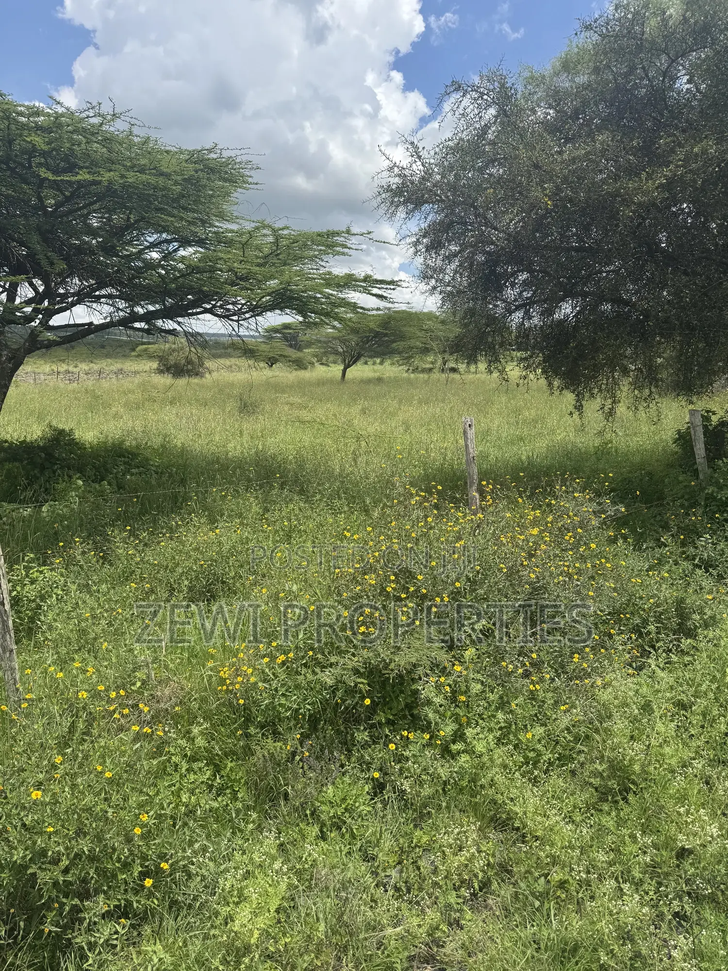 One Acre Dawamu School