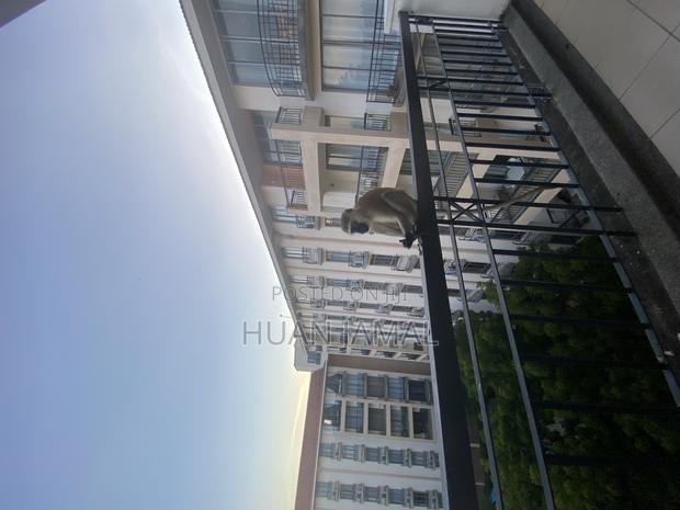 Apartment to Let - thumbnail 3