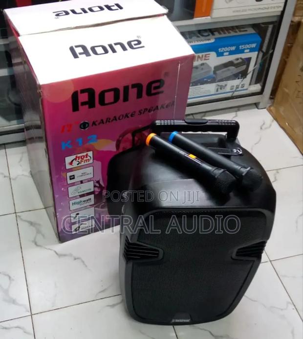 Aone "12"Powerful Portable Speaker