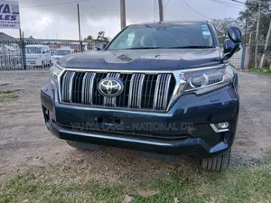 Toyota Land Cruiser 2019 Gray