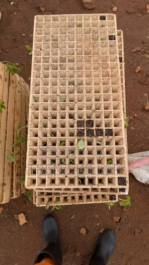 Nursery Styrofoam Trays