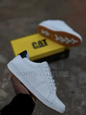 Caterpillr Casuals