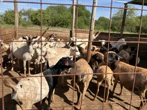 Fenced 10 Acre Land Emali