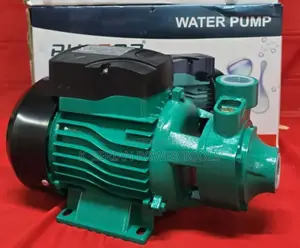 Pulsar Qb80 1hp Booster Water Pump/1hp Booster Water Pump