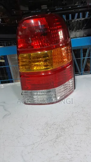 Ford Escape 2005 Backlight