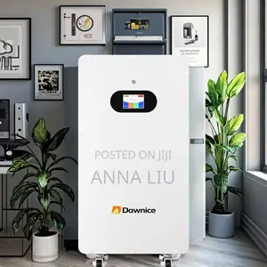 Dawnice 10kwh 51.2v 205ah Wall-Mount - Auto BMS Control