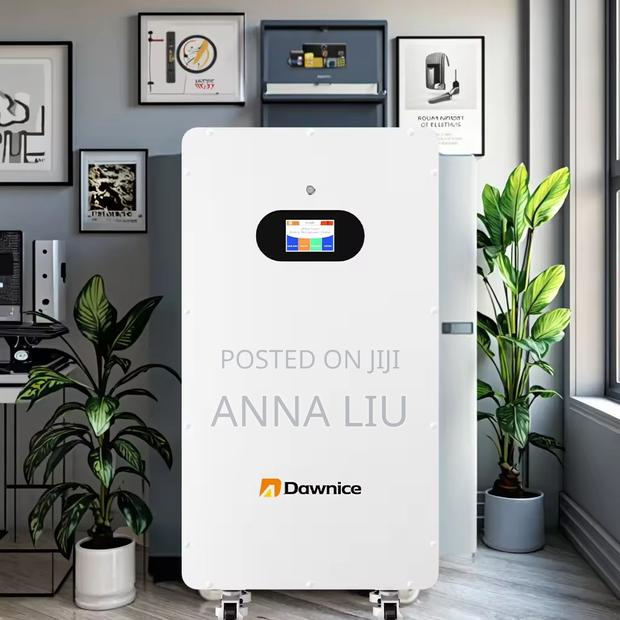 Dawnice 10kwh 51.2v 205ah Wall-Mount - Auto BMS Control