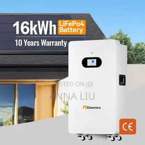 Robust 16kwh Dawnice 51.2v 314ah Solar Storage Battery