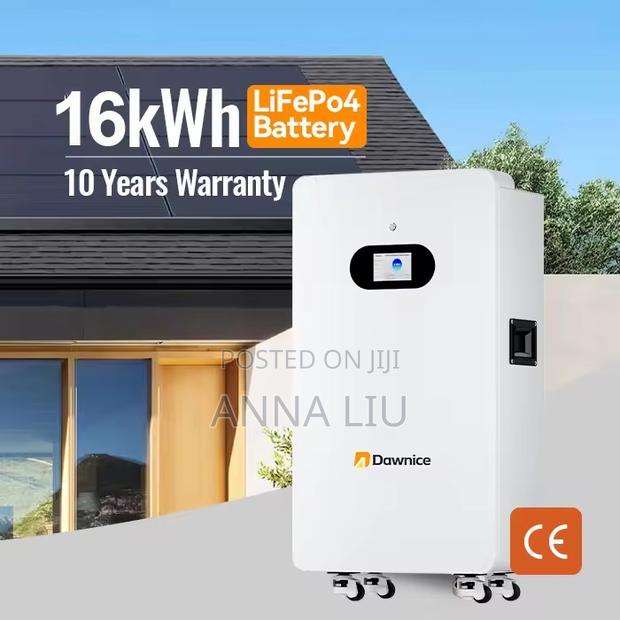 Robust 16kwh Dawnice 51.2v 314ah Solar Storage Battery