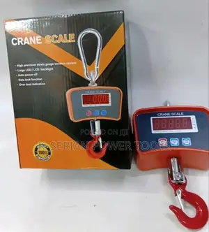 Durable 500kg Mini Crane Scale/500kg Crane Scale