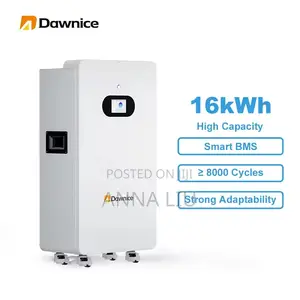 Dawnice 16kwh 51.2v 314ah Lithium Energy - No Power Cuts