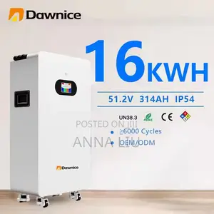 High-Performance 16kwh Dawnice 51.2v 314ah Wall Storage