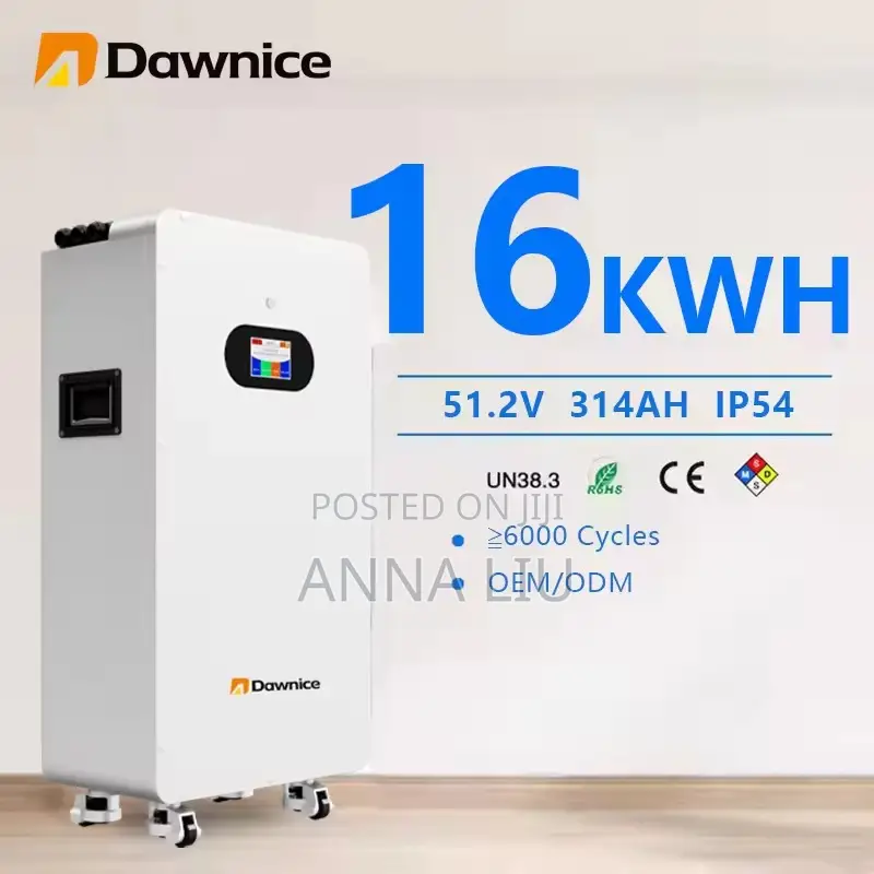 High-Performance 16kwh Dawnice 51.2v 314ah Wall Storage