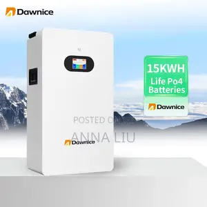 Dawnice 16kwh 51.2v 314ah Smart Wall Pack - Easy Setup