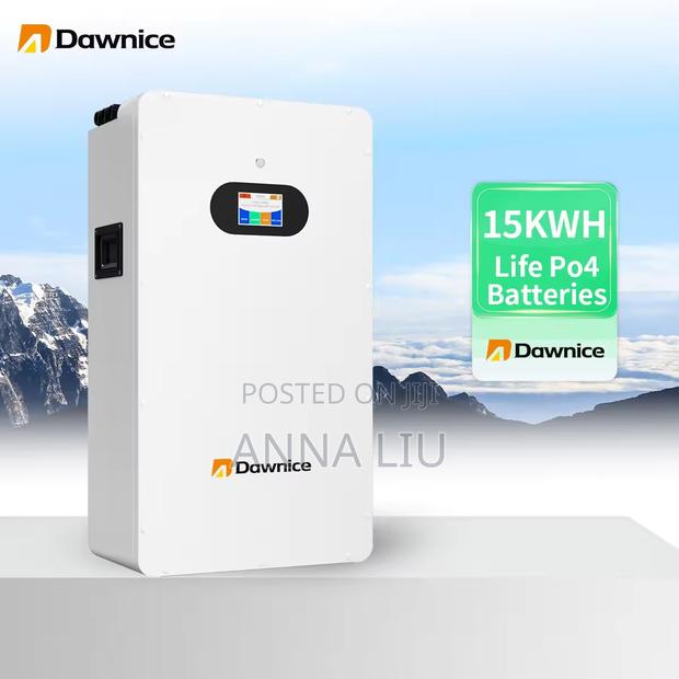 Dawnice 16kwh 51.2v 314ah Smart Wall Pack - Easy Setup