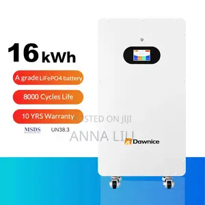 Dawnice 16kwh 51.2v 314ah Battery: Run Fridge All Weekend