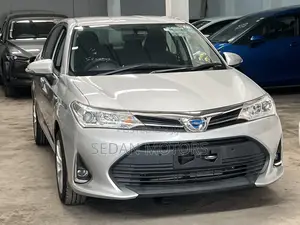 Toyota Axio 2019 Silver