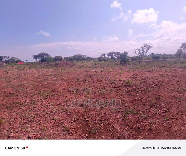 1/4 Acre Plot for Sale