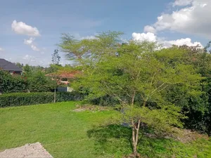 Kitengela Town, Residential Plot for Sale