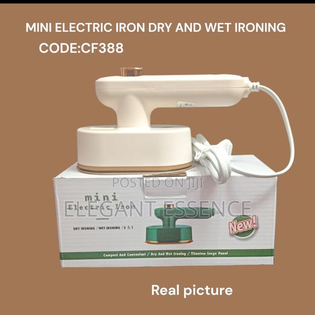 Mini Electric Iron For Both Wet And Dry