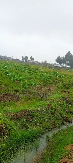Land on Sale at Magumu Kinangop