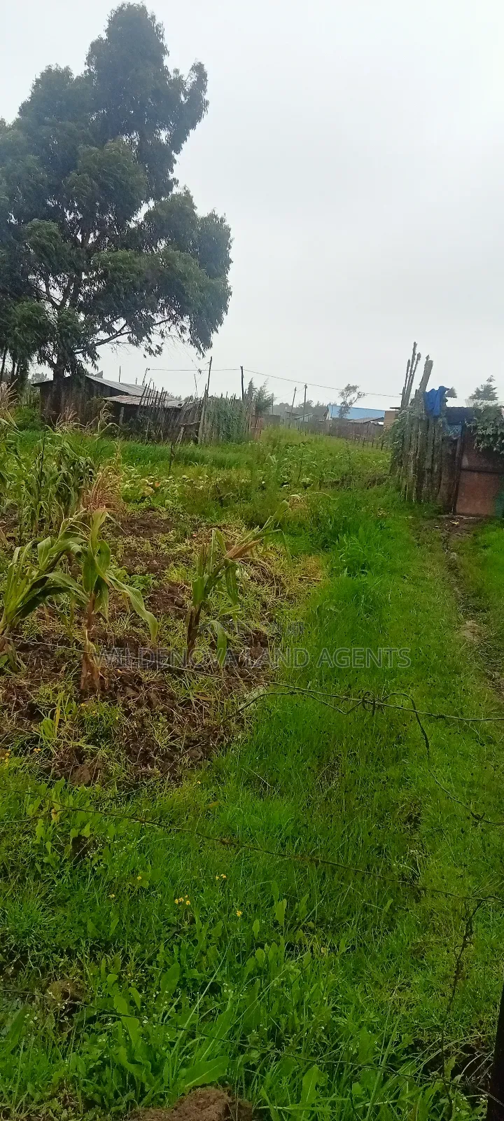 Land on Sale at Magumu Kinangop