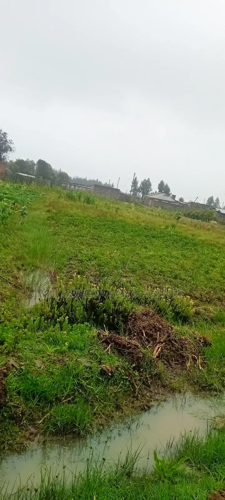 Land on Sale at Magumu Kinangop