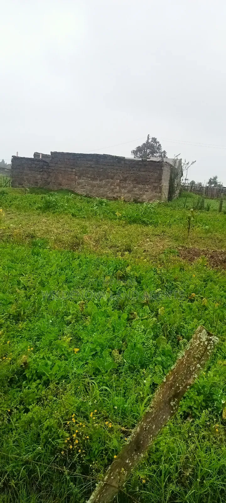 Land on Sale at Magumu Kinangop