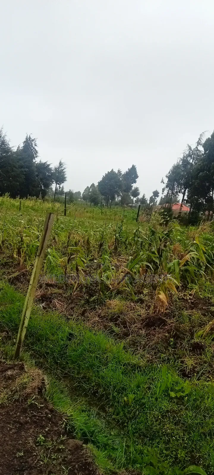 Land on Sale at Magumu Kinangop