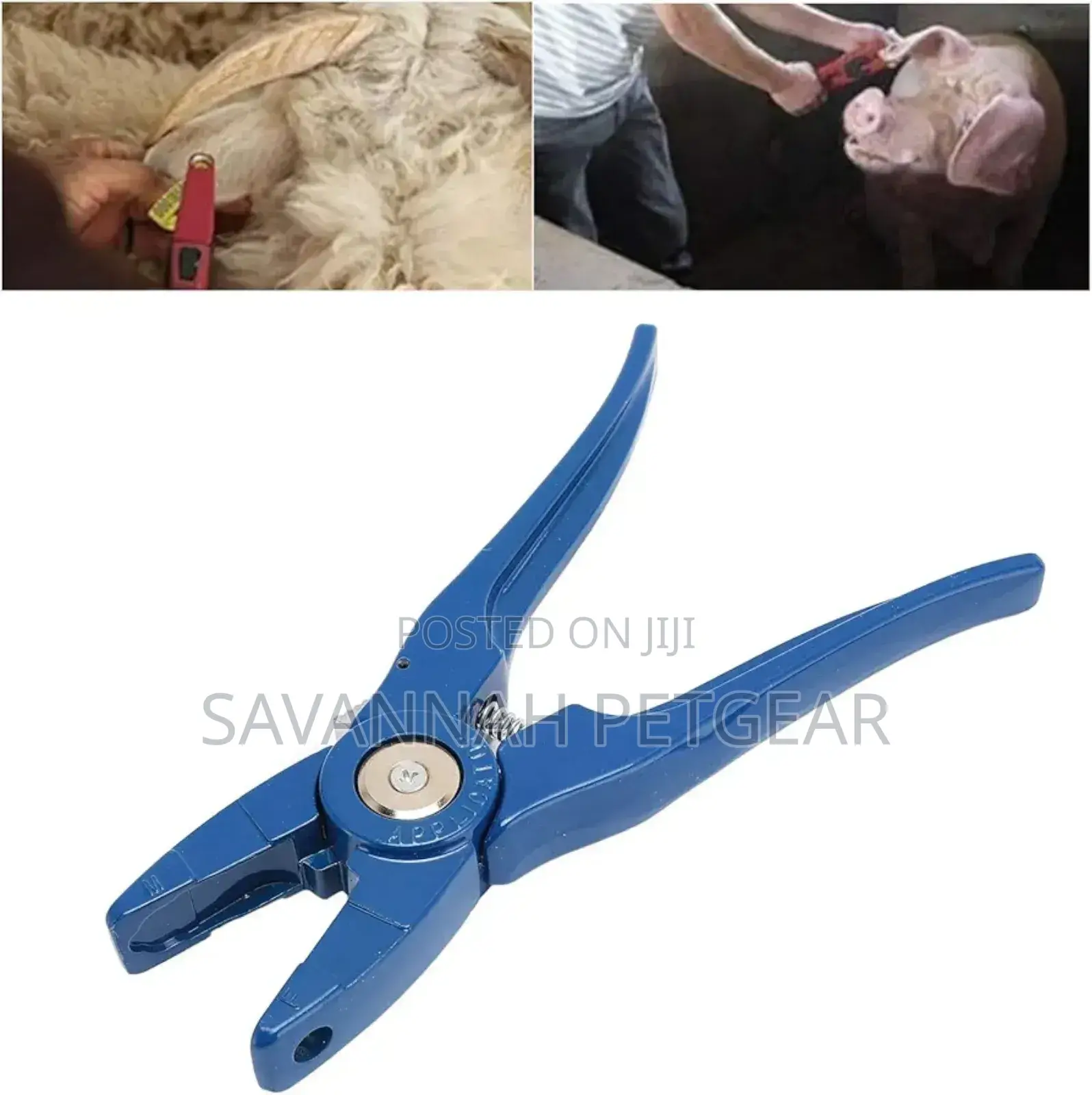 Universal Cattle Ear Tag Applicator for Cattle, Pigs, Sheep and Goats
