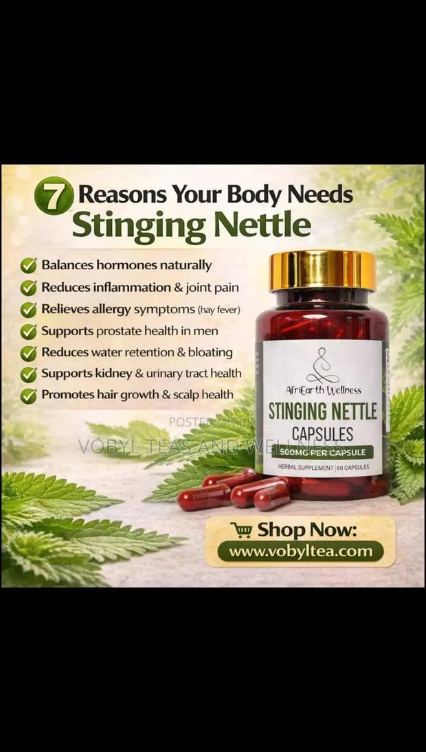 Stinging Nettle Capsules - main view