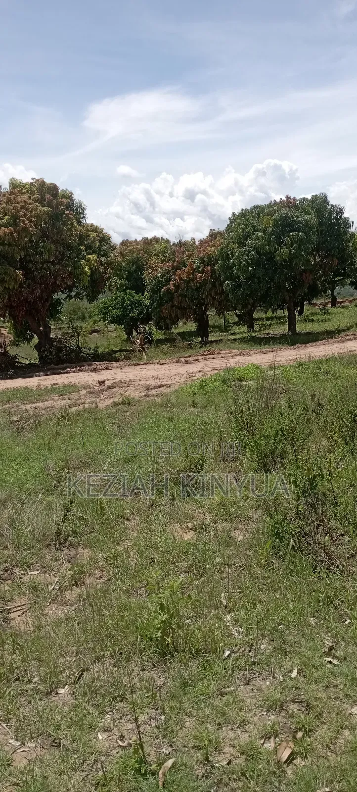 Zawadi Gardens Makuyu-Mananja PHS 4