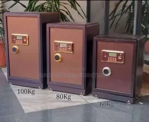 Electronic Security Safes