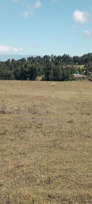 Land on Sale at Heni Kinangop - thumbnail 2